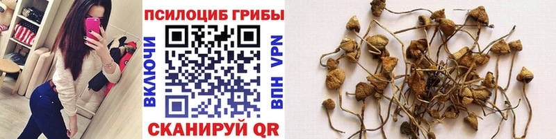 Купить где  Оленегорск  Галлюциногенные грибы MAGIC MUSHROOMS 